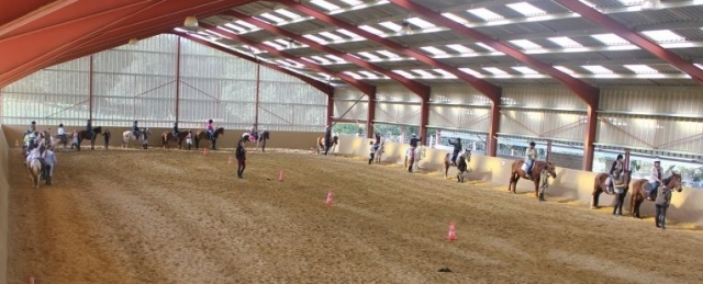 Un manege de 50
